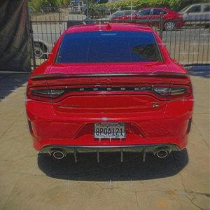 Meet your Posher, Alberto